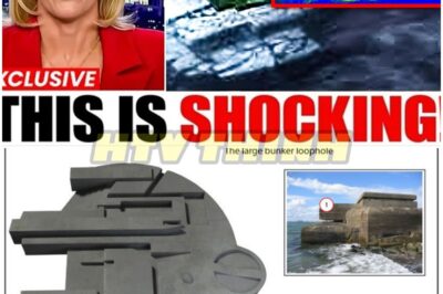 DEEP SEA MYSTERY 🌊: The BALTIC SEA ANOMALY Just SCANNED by AI