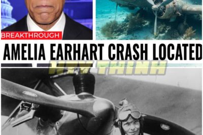 The Shocking Revelation: Amelia Earhart’s Plane Found After 88 Years!