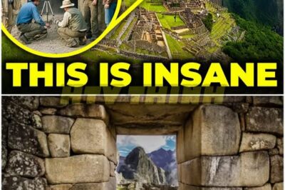 ARCHAEOLOGY EARTHQUAKE: A Hidden CHAMBER 🏺 Just Discovered in Machu Picchu—and What’s Inside 😱 CHANGES EVERYTHING We Thought We Knew About the Ancient Inca Empire, Leaving Historians STUNNED and Adventurers DREAMING of Secrets Untold 🔥🌄 The lost city has coughed up a secret buried for centuries: a hidden chamber that promises to rewrite history. Whispers of sacred relics, forbidden rituals, and treasures cloaked in mystery have sent shockwaves through the archaeological world. This isn’t just a find—it’s a revelation that could shatter our entire understanding of the Inca legacy 👇