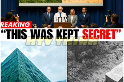 ARCHAEOLOGICAL SHOCKWAVE 🌍: Scientists STUNNED as a PYRAMID BIGGER Than GIZA Is Discovered in BOSNIA — Experts Say “It SHOULDN’T EXIST” but the Mysterious Structure Could REWRITE All of Human History!🔥