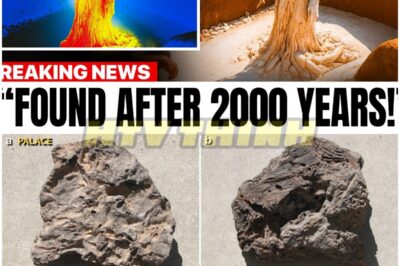 Scientists SCAN Mount Sodom With AI—World STUNNED as Unimaginable Secrets, Ancient Mysteries, and SHOCKING Revelations Emerge