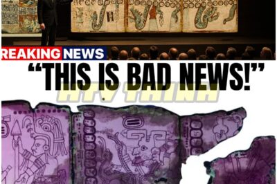 They Just TRANSLATED The Mayan Codex With AI 😨