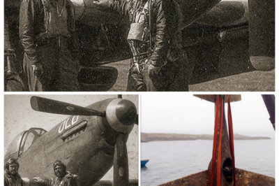 Pilots Vanished During a Secret Operation in WW2 — 50 Years Later, Navy Pulled This From the Ocean…