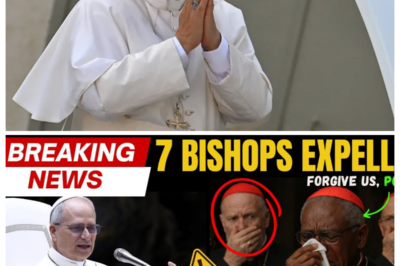 POPE LEO XIV BANNED 7 BISHOPS FOR UNKNOWN REASONS, LEAVING THE CHURCH IN SHOCK