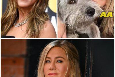 The Heartwarming Reunion: Jennifer Aniston and Her Beloved Dog Norman’s Touching Moment on Set
