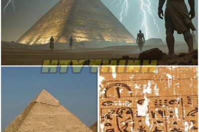 The Shocking Truth Behind the Pyramids: Secrets That Could Change History Forever