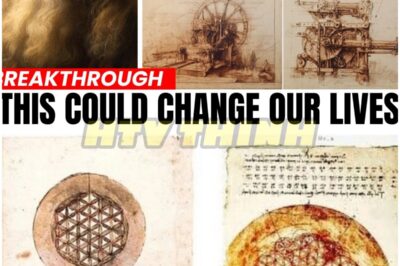 🐿️ AI Finally CRACKED Da Vinci’s Forbidden Invention 🤖🧠 — The Discovery That TERRIFIES Scientists and Could Change the Future of Humanity FOREVER 😱⚙️ Hidden in Leonardo da Vinci’s notebooks was a sketch so cryptic it baffled scholars for centuries — until now. Using advanced neural decoding, AI researchers finally reconstructed the invention da Vinci never finished… and what it revealed has the entire world shaken. The device, once dismissed as fantasy, appears to be a self-sustaining energy mechanism — a machine capable of bending physics as we know it. Historians are calling it “the blueprint for infinite power,” while governments quietly scramble to verify the data. Did Da Vinci glimpse the technology of the future — or something far darker that mankind was never meant to build? 👇