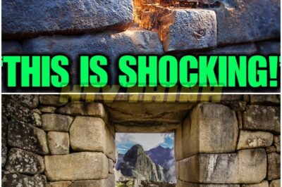 The Inca Stone Walls: The Shocking Truth AI Just Uncovered