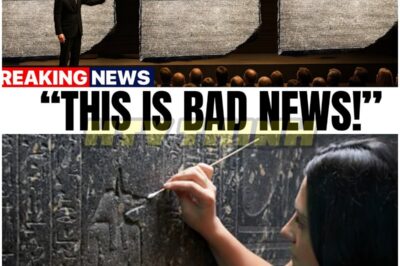 They Just DECODED the ROSETTA STONE With AI 🤯
