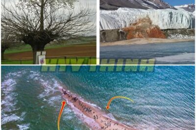 15 Scientifically Impossible Places That Will Leave You Speechless