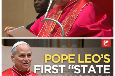 SHOCKING: POPE LEO XIV’S STATE OF THE WORLD ADDRESS