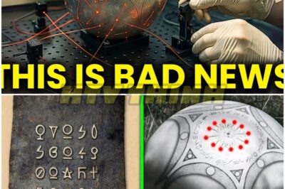 Quantum AI Links BUGA SPHERE Engravings to OLMEK Glyphs