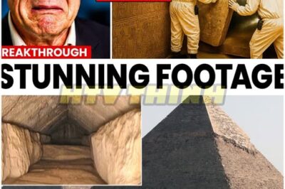 ANCIENT MYSTERY SHOCKER 🏺 Scientists Just Found a Hidden Door Inside the Great Pyramid — And Turned Pale When They Went Inside, Discovering Secrets That Rewrite History and Leave the World SPEECHLESS 😱 In a discovery that has stunned archaeologists and historians alike, scientists have uncovered a hidden door within the Great Pyramid, leading to chambers no one expected. What they found inside left the team pale with shock, revealing artifacts, passages, and mysteries that could change everything we thought we knew about ancient Egypt. The revelation is sending waves through the scientific community, as theories about the pyramid’s construction, purpose, and hidden history are being challenged. This astonishing find opens a new chapter in one of humanity’s greatest archaeological enigmas 👇