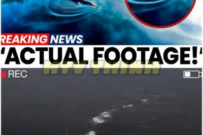 Alaska’s Version of Jaws Is Real… And It’s Bigger Than You’ve Ever Seen