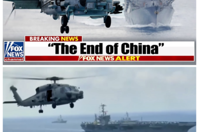 Chinese Z-10 CHALLENGED a US Navy Seahawk — Then THIS Happened...