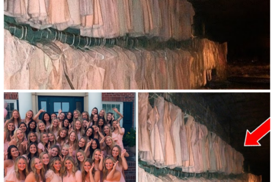 Entire Sorority Sisters Vanished in 2015 — 5 Years Later Police Uncovered a Disturbing Secret…