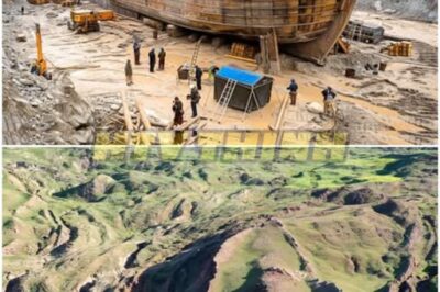 Historic Bombshell in Turkey 😱: Scientists Claim to Unseal Noah’s Ark and Discover Macabre Relics