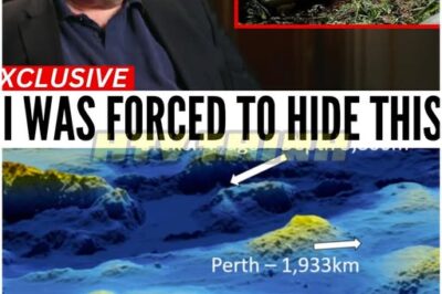 “The Unbelievable Discovery: Is MH370 Finally Found?”