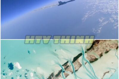 The Mysterious Plane in Space: A Cosmic Enigma Unveiled