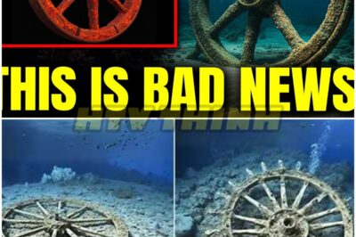 The Sinister Secrets of the Red Sea: Pharaoh’s Chariot Wheel Discovered!