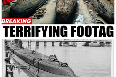 Hitler’s Secret Submarine Base Finally Opened After 81 Years — What Was Inside Will Shock You jnf