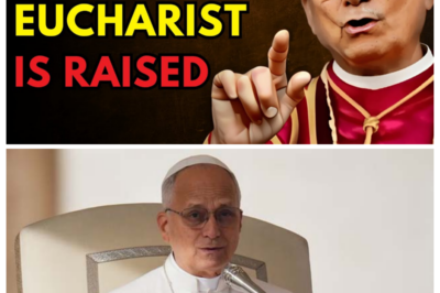 WHAT YOU SHOULD SAY WHEN THE PRIEST ELEVATES THE EUCHARIST ?