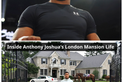 🐘 “ANTHONY JOSHUA’S MANSION LIFE: A Champion’s Journey Through Boxing, Discipline, and Luxury! 💥” “Experience the life of Anthony Joshua as he balances the rigors of boxing with the comforts of his stunning London mansion! ‘Success is not just about wins; it’s about the lifestyle you cultivate!’ From intense training sessions to moments of relaxation, Joshua’s home embodies his relentless pursuit of greatness. What motivates him to keep pushing boundaries, and how does he maintain his discipline? The story is more inspiring than you think! 👇