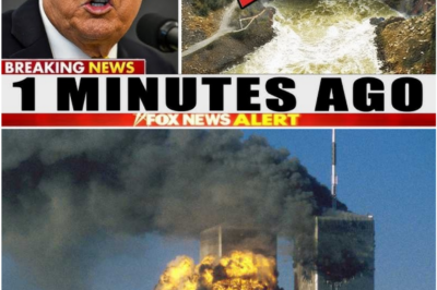 Massive Tragedy Rocks the USA: Midwest in Shock as Disaster Strikes Overnight