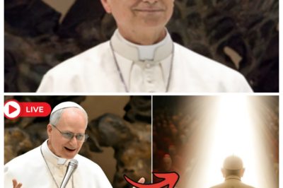 The Cardinals Ordered Him to Step Down… A Beam of Light Struck Only Pope Leo XIV
