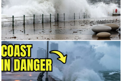 🐘 “ALARMING SITUATION: MONSTER WAVES POUND California Coast — Flood Warnings Break Records! ⚡” “Just three minutes ago, the California coast experienced a dramatic rise in wave activity, with monster waves prompting record flood warnings across the region. What should residents know to stay safe during this extreme weather event? Join us for crucial updates!” “In the face of nature’s power, preparedness is key!” 👇