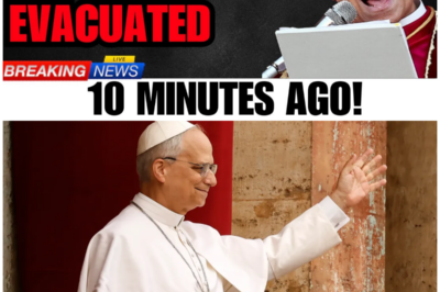 Something Manifested Beneath St.Peter’s Dome — and Pope Leo XIV Ordered Everyone Out Immediately