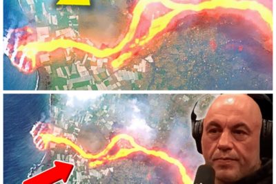 “San Andreas Fault on the Edge: NASA’s Alarming New Findings! 🌍”  “Who knew the ground beneath us was ready to blow?” In a shocking announcement, NASA has revealed that the infamous San Andreas Fault is showing signs of imminent eruption, sending tremors of fear through California and beyond! Recent findings indicate that the fault crack is more unstable than previously thought, with scientists warning that a major seismic event could be just around the corner. “I thought we had more time, but this is a wake-up call!” one geologist exclaimed, as the world braces for what could be a catastrophic shake-up. Will California be prepared for the fallout? The tension is rising! 👇