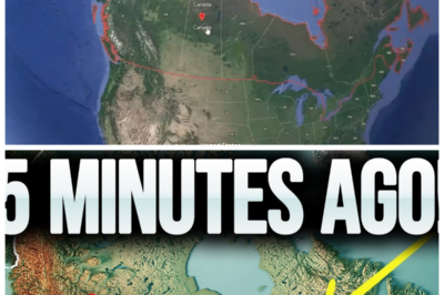 “CANADA’S SHOCKING FIND: SCIENTISTS LEFT SPEECHLESS BY THIS UNEXPECTED DISCOVERY! 😲🌍” In an astonishing revelation that has sent shockwaves through the scientific community, researchers in Canada have uncovered something truly remarkable! “You won’t believe what we just found—it’s like a dream come true for scientists!” an excited team member shared, as the news breaks. 🔍💥 With potential ramifications for everything from environmental science to geology, this groundbreaking discovery is set to turn heads. What exactly did they uncover, and how will it change our understanding of the world? Get ready for the jaw-dropping details! 👇