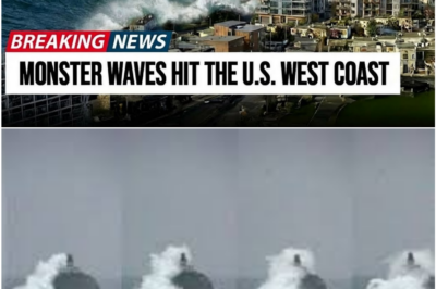Giant Waves Slam the U. S.West Coast: Scientists Warn of Multi-State Coastal Catastrophe