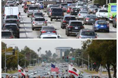 🐘 Urgent Alert: New California Traffic Laws Starting Feb 1 – Know This to Avoid a $1,000 Fine! 🚨 “Don’t let ignorance drive you into debt!” California is set to implement a series of new traffic laws on February 1, and the penalties for non-compliance are steep, with fines reaching up to $1,000! As the state aims to enhance road safety, residents are scrambling to understand the implications of these changes. Will this crackdown on traffic violations lead to safer streets, or will it just create more headaches for drivers? The clock is ticking, and the pressure is mounting! 👇