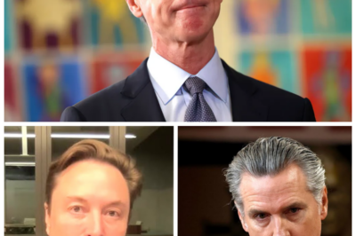 🐶 ELON MUSK’S SHOCKING CLAIM! NEWSOM’S PANIC OVER $30B CALIFORNIA FRAUD SCANDAL REVEALS DARKER SECRETS! In a breathtaking revelation that has sent shockwaves through the political arena, Elon Musk asserts that Governor Newsom is ‘in panic’ as the $30 billion fraud scandal unravels! As accusations fly and the drama intensifies, the future of California’s leadership hangs in the balance. What hidden truths will emerge from this scandal? The stakes have never been higher, and the fallout could be monumental! 👇