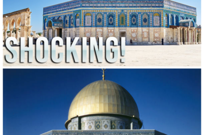 Scientists Just SHOCKED With This Discovery Under The DOME Of The ROCK 10t