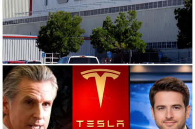 ⚡ California Governor Stunned as Tesla Shuts Down Major Factory—Thousands of Jobs Hang in the Balance as Gates Slam Shut, Assembly Lines Go Silent, and the Golden State’s Green-Tech Dream Suddenly Looks Like a Rusting Relic 🚧 — What was once a humming cathedral of innovation reportedly turned into a ghost town overnight, with workers clutching hard hats and staring through locked fences, while politicians scramble for cameras and excuses, because when the electric king pulls the plug, the shockwave rattles far beyond the factory floor 👇