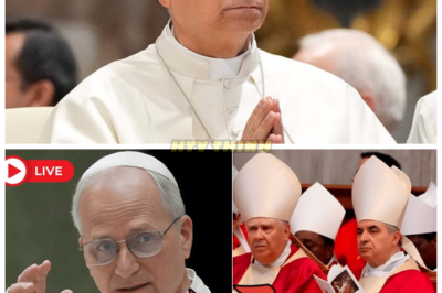 🚨CARDINALS CHALLENGE POPE LEO XIV BEHIND LOCKED DOORS—ONE LINE FROM HIM SILENCED THEM ALL! The Vatican was rocked when the Cardinals decided to confront Pope Leo XIV behind closed doors. The tension was thick, but when the Pope spoke, one sentence was all it took to bring the entire room to an abrupt silence. What did Pope Leo XIV say that had such an undeniable effect on the Cardinals, and why is this moment so significant? Prepare for a revelation that will change your understanding of power in the Vatican. 👇