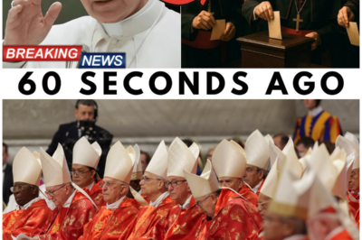 😱 Pope Leo XIV Who Refused to Be Silenced: A Battle Beneath St. Peter’s Basilica! 😱