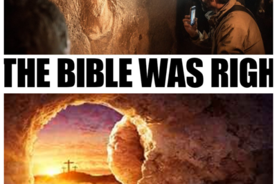 What Scientists Just FOUND Beneath Jesus’ Tomb in Jerusalem Will Leave You Speechless