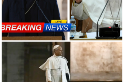 Pope Leo XIV ACCUSE Bishop Barron of Heresy—His Reaction Leaves Everyone Speechless