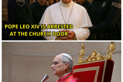 POPE LEO XIV IS “ARRESTED” AT THE CHURCH DOOR — NO ONE EXPECTED HIS RESPONSE
