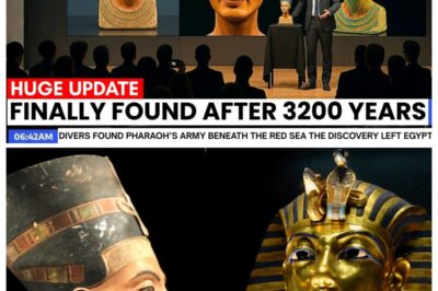 Scientists Finally Opened Nefertiti’s Lost Tomb — What They Found Shocked The Entire World vd