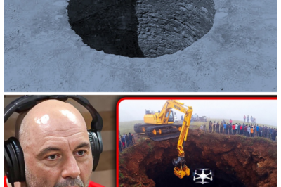 No One Believed These Mel’s Hole Stories! Until They Watched This