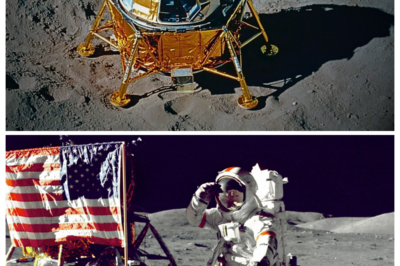 Scientists Zoomed a Telescope at Apollo 11, What They Saw Terrified Them