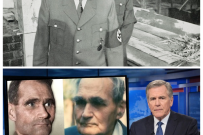 Hitler’s Rudolf Hess Mystery Finally Solved in 2025 And It Isn’t Good