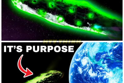 What If 3I/ATLAS Was Requested to Come — The Cosmic Revelation That Will Change Everything 😱 What if the mysterious 3I/ATLAS wasn’t just a cosmic anomaly, but something that was specifically requested to come to our corner of the universe? The implications of this possibility are mind-blowing, and the answers could forever alter our understanding of space and its mysteries. What does this mean for humanity, and why would such a request even be made? Get ready for a revelation that could reshape everything you thought you knew about space exploration. 👇