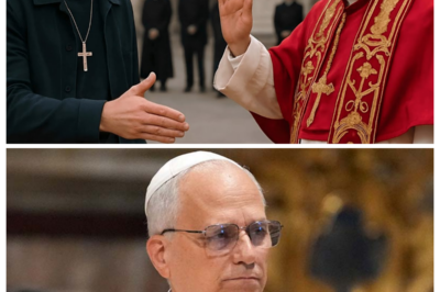 Pope Leo XIV REFUSED Jonathan Roumie’s Handshake on First Ever Meeting – Then THIS Happened!