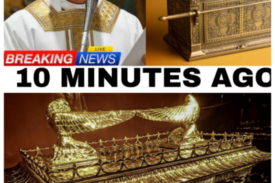 POPE LEO XIV DECLARES A RECENTLY FOUND ARTIFACT MAY BE LINKED TO THE ARK OF THE COVENANT — AND THE WORLD IS STUNNED  In a revelation that has sent shockwaves through both religious and archaeological communities, Pope Leo XIV announced that a recently discovered artifact could have a direct connection to the legendary Ark of the Covenant. Experts are racing to verify the claim, as the artifact may shed light on one of history’s greatest mysteries. Why the Pope believes this link is possible, what the artifact reveals about ancient traditions, and how it could rewrite understanding of biblical history has captivated believers and historians alike. CLICK THE ARTICLE LINK IN THE COMMENTS to explore the full story and the astonishing implications of this discovery.